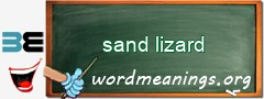 WordMeaning blackboard for sand lizard